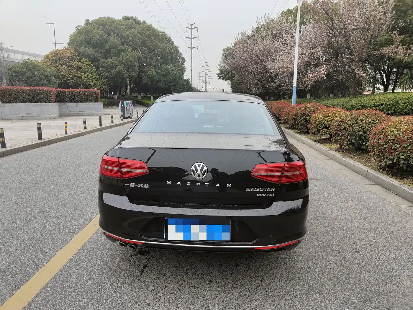 Volkswagen Magotan 2019 280TSI DSG Comfort China V фото 5