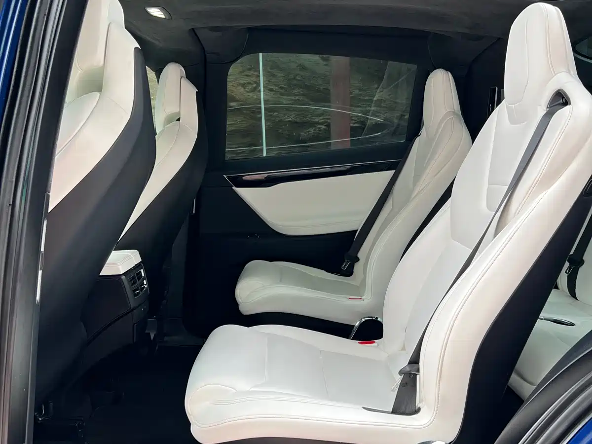 TESLA MODEL X