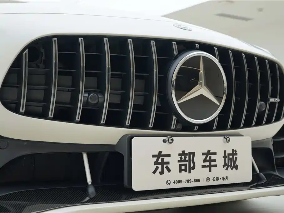 Mercedes-Benz AMG GT 2019 AMG GT R PRO фото 9