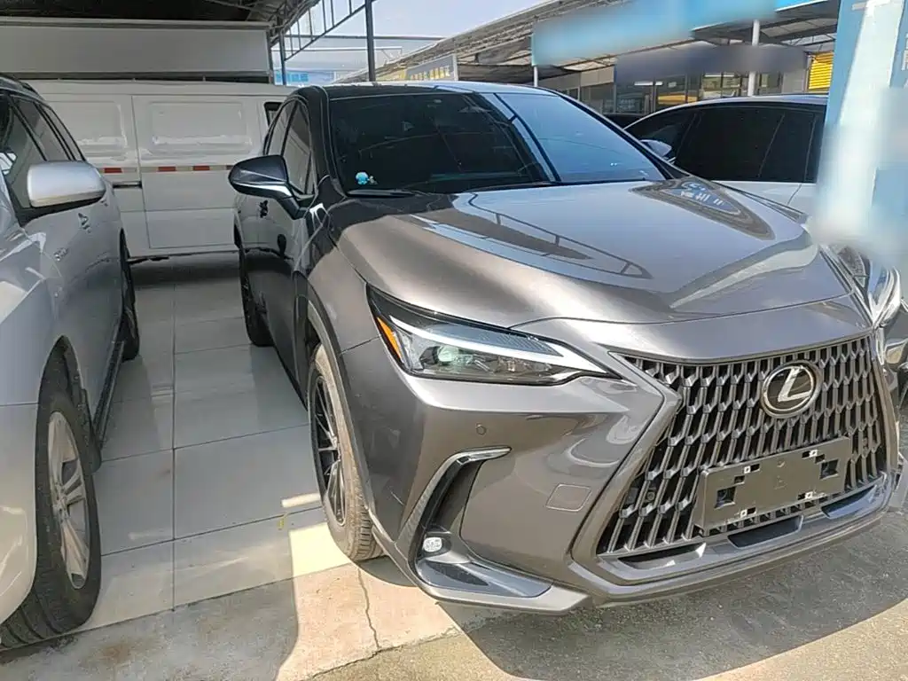 Lexus NX 2024 2024 350h FWD Joy Creation Edition