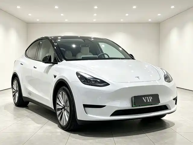 Tesla Model Y Задний привод