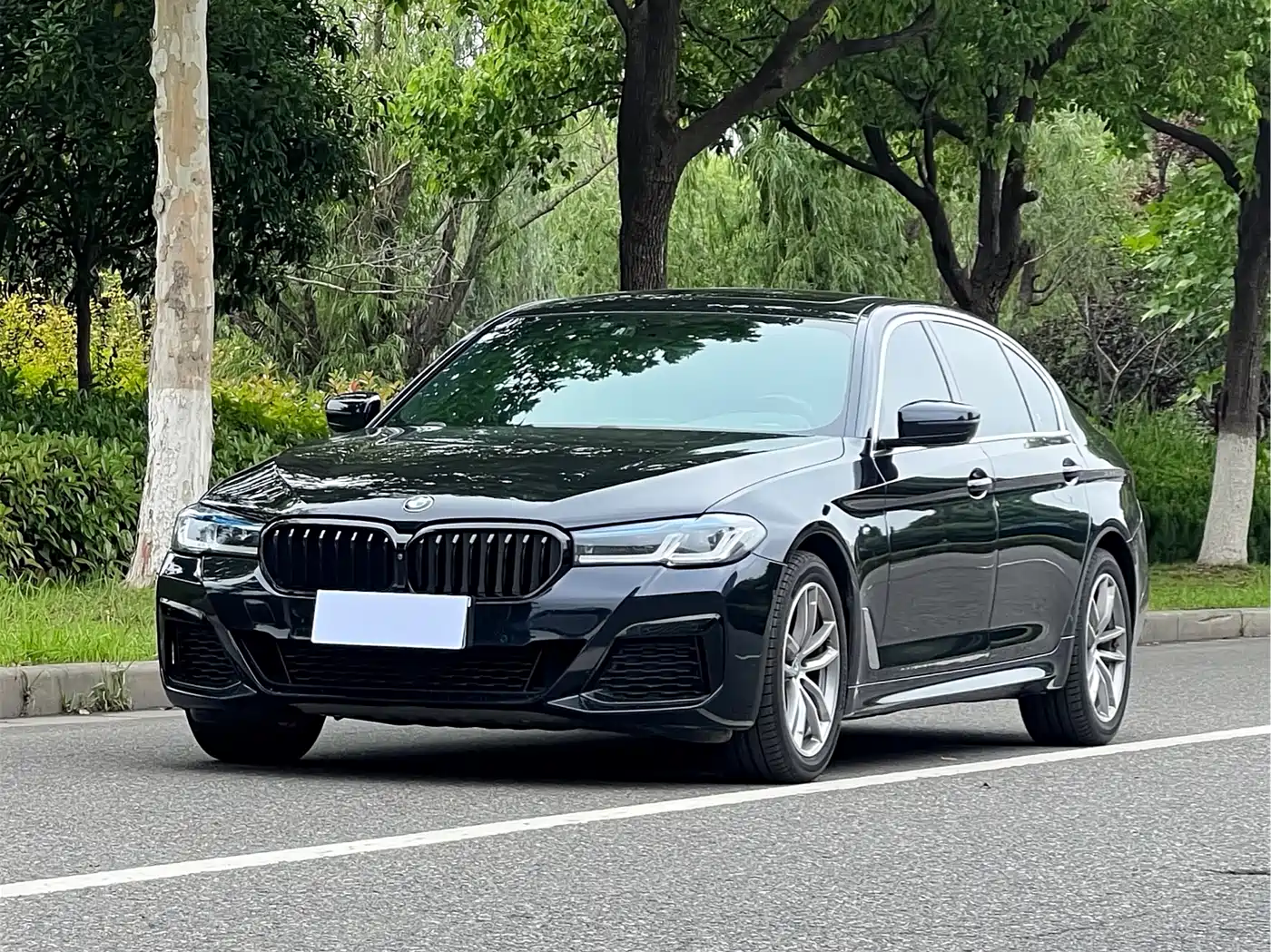 BMW 5 Series 2020 525Li M Sport Package