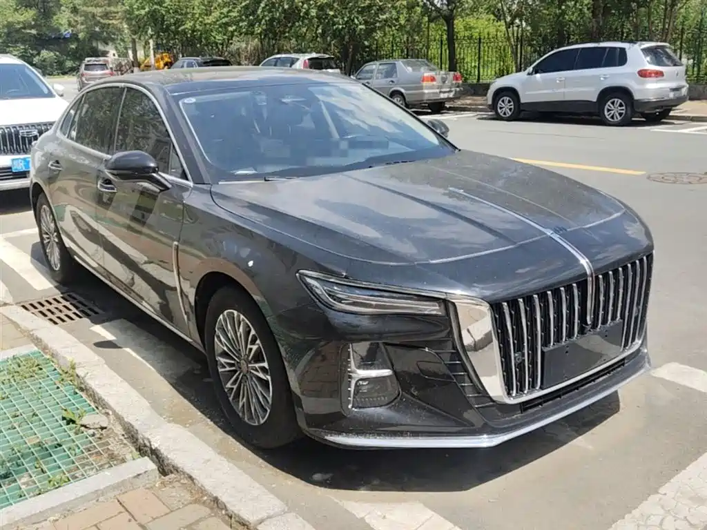Hongqi H5 2023 2.0T Auto Smart Connect Flag Enjoy фото 7
