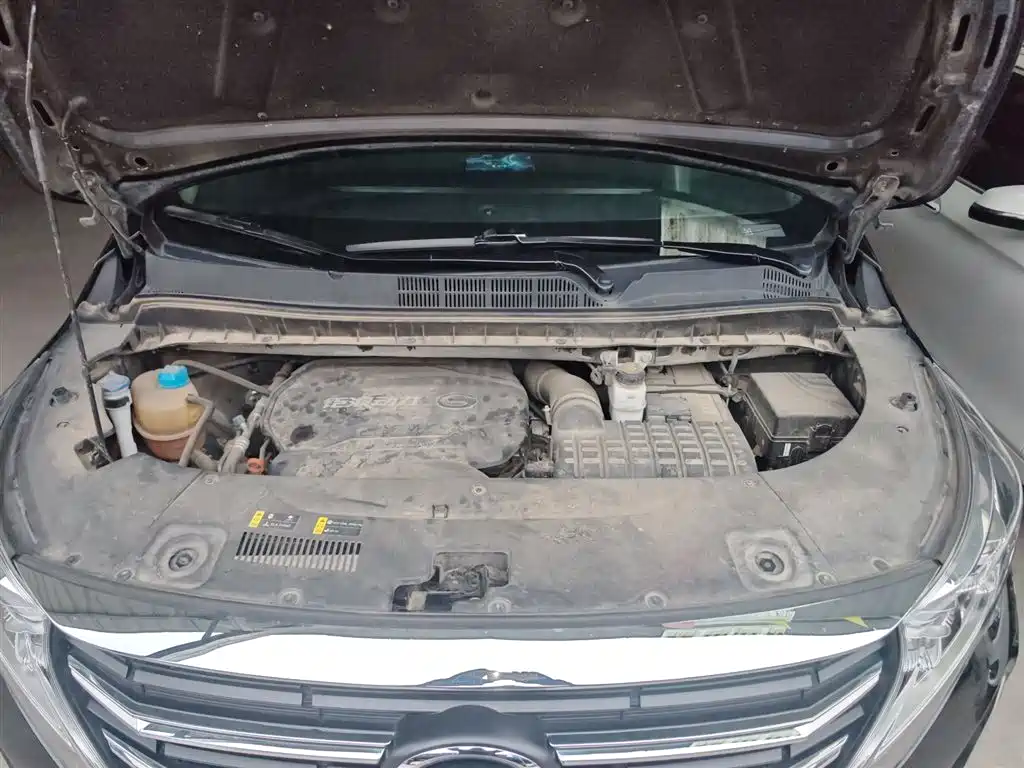 GAC Trumpchi Trumpchi M8 2023 Leading Series 390T Premium Edition фото 16
