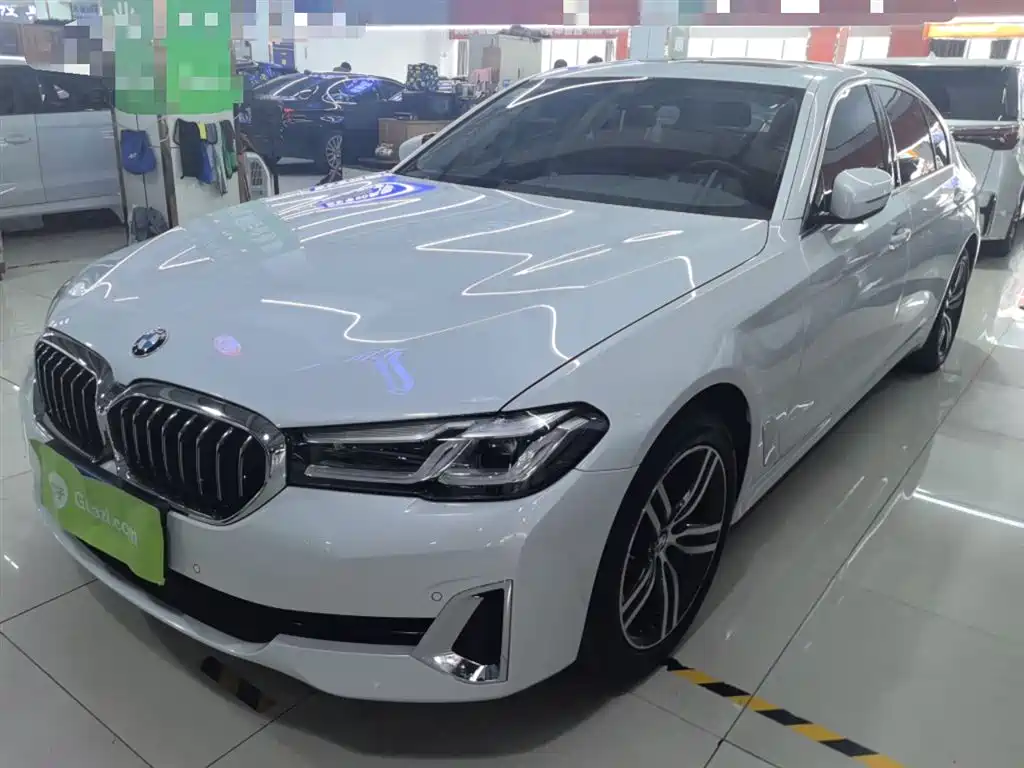 BMW 5 Series 2021 530Li Leading Luxury Package фото 2