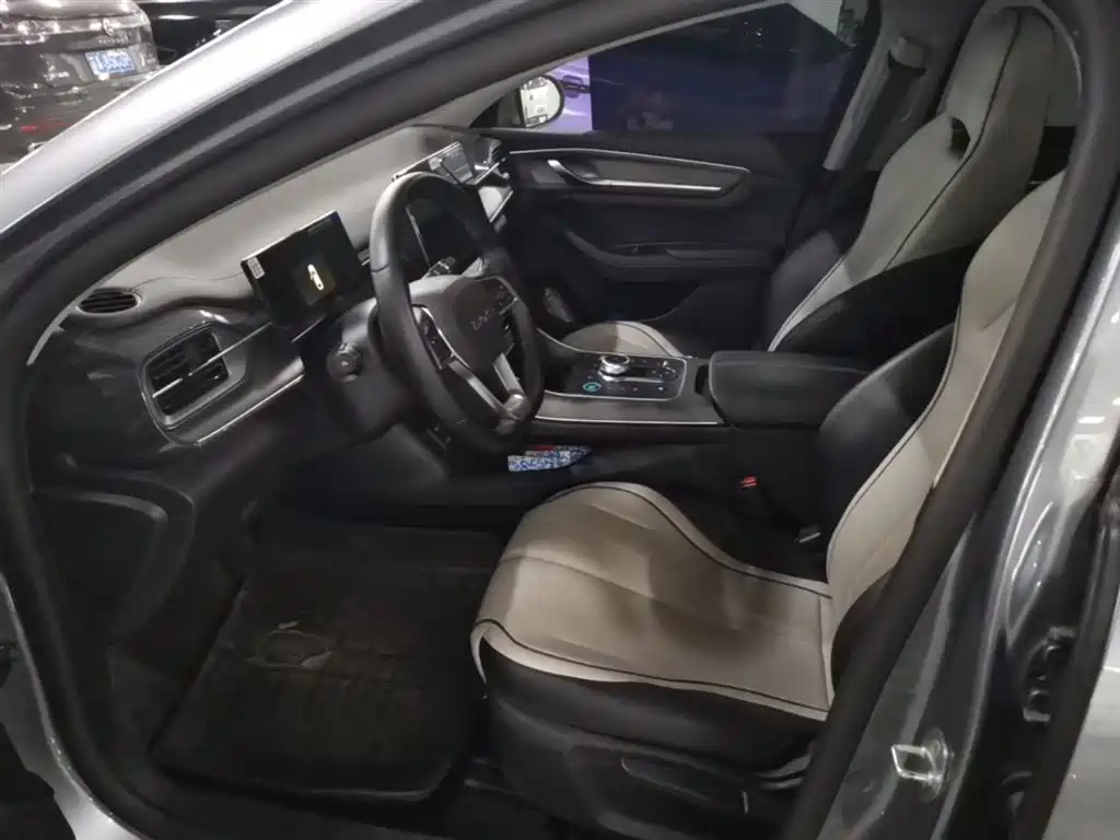 BYD Destroyer 05 2024 Glory Edition DM-i 55KM Luxury фото 15