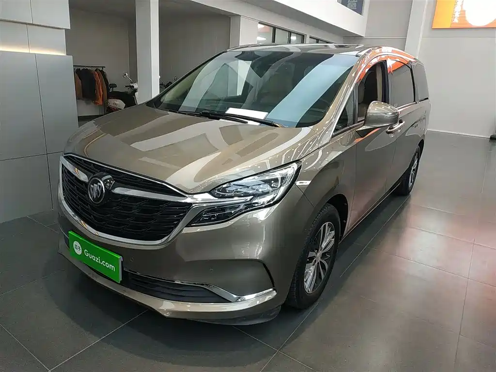 Buick GL8 2021 ES Landlord 653T Premium фото 2