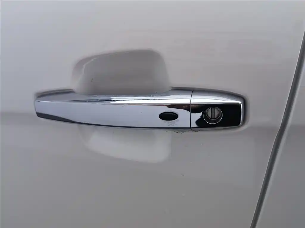 JIANGLING DOMAIN TIGER 7