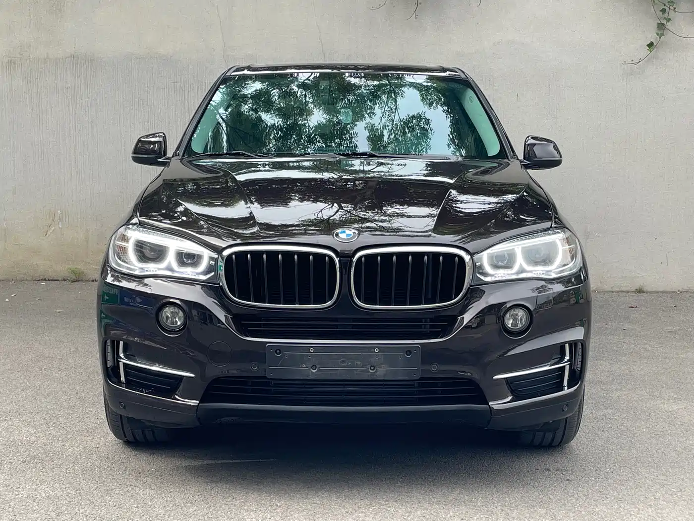 BMW X5 (Import) 2018 xDrive35i Elegant Model фото 2