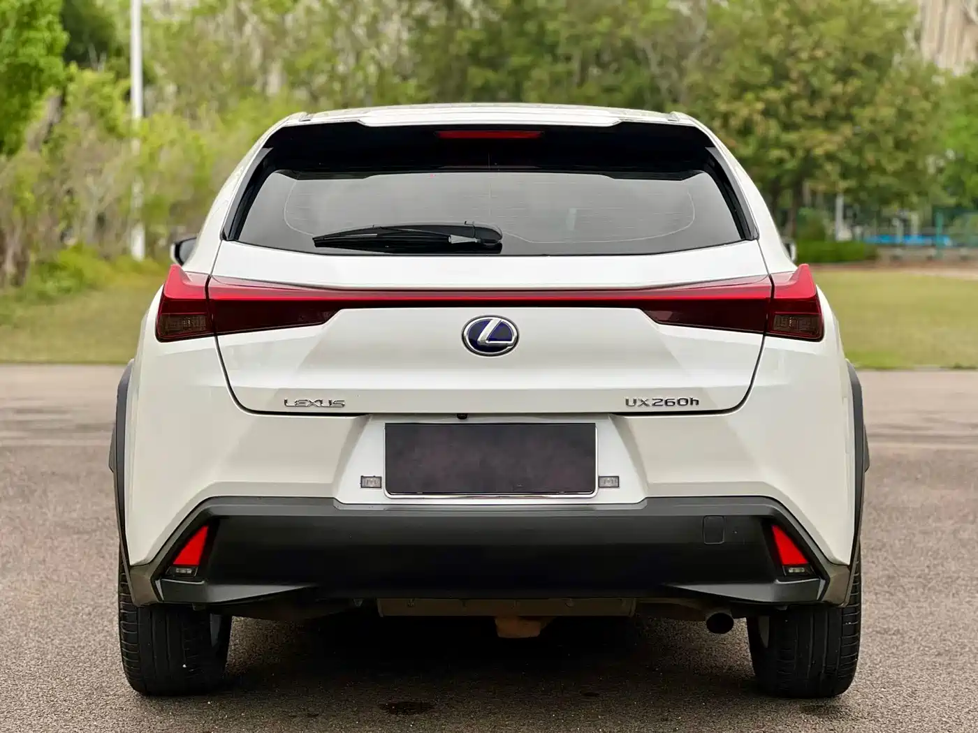 Lexus UX 2019 260h Explorer Cool Edition (China V) фото 8