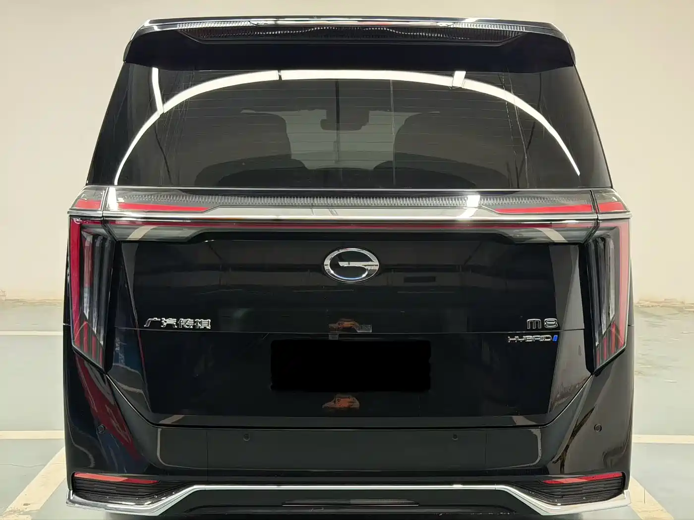 GAC Trumpchi Trumpchi M8 2024 Master Series Super Hybrid фото 8