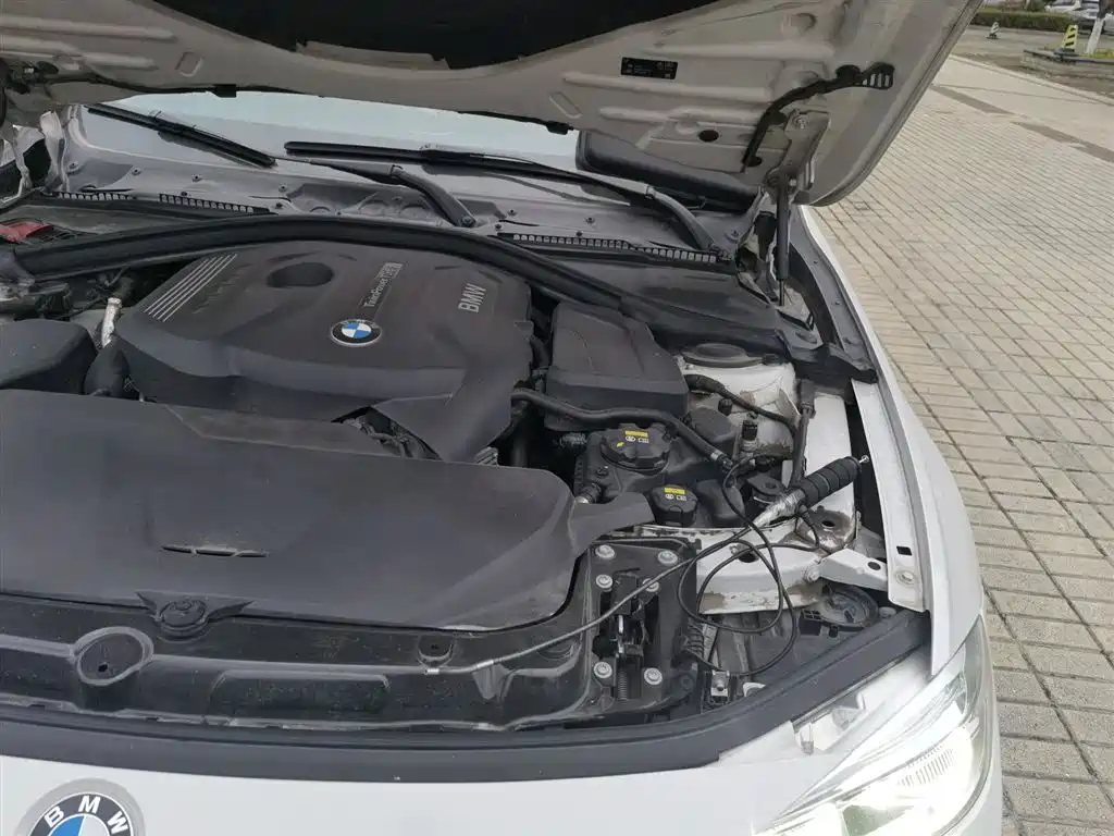 BMW 3 Series 2018 320Li Fashion Style фото 21
