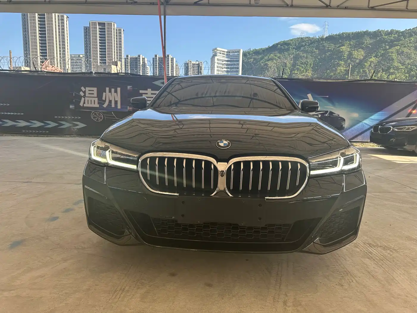 BMW 5 Series 2021 530Li Leading Luxury Package фото 3