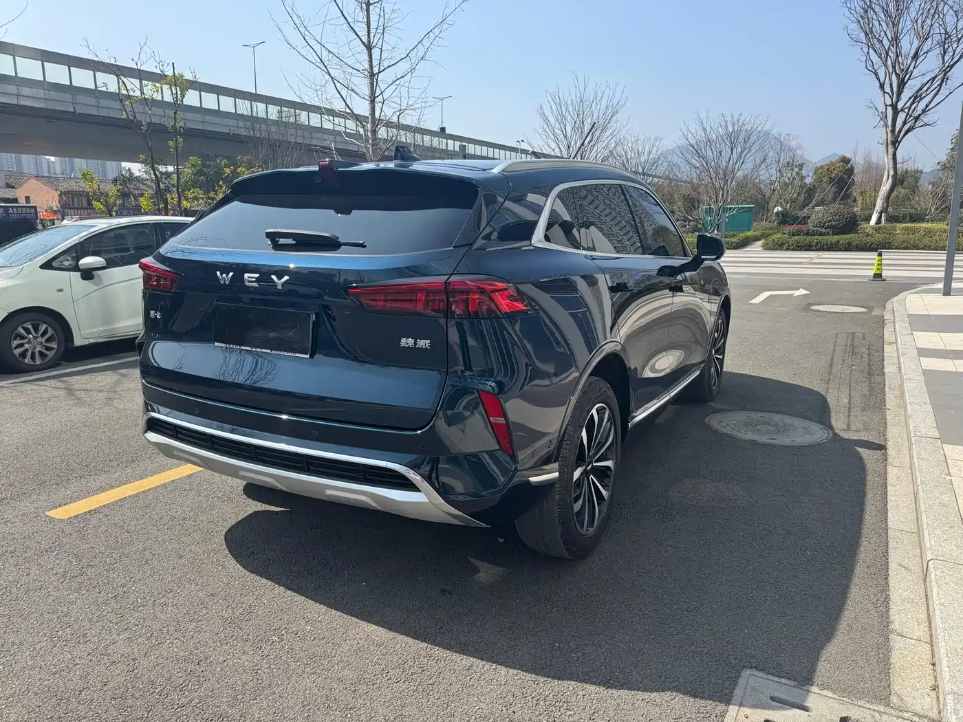 WEI PAI WEI BRAND MOCHA