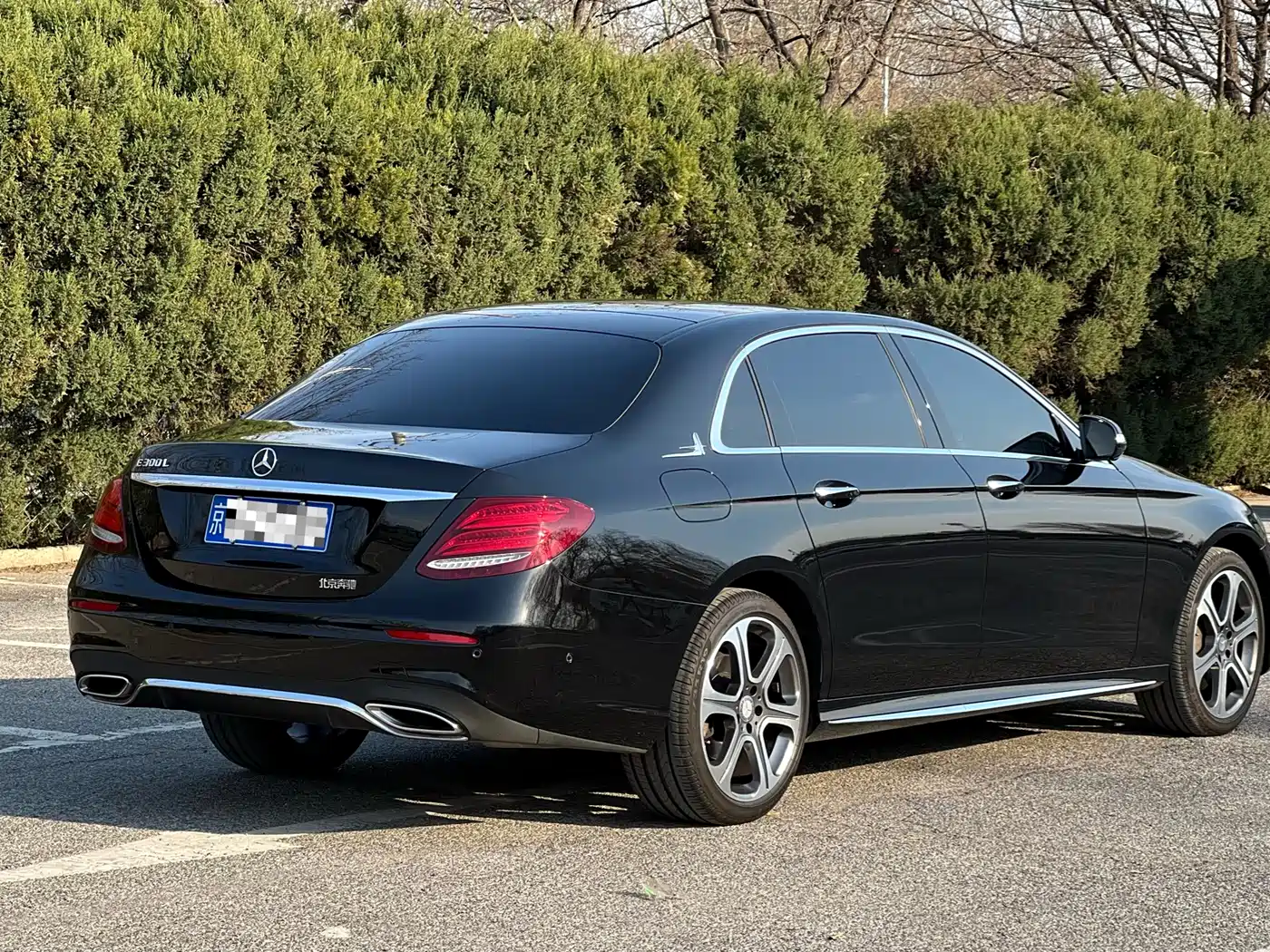 Mercedes-Benz E-Class 2016 E 300 L Sport Luxury фото 5