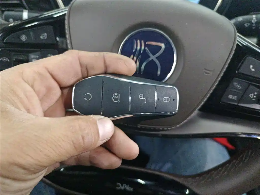 BYD Han 2024 DM-i Glory Edition 121KM Premium фото 17