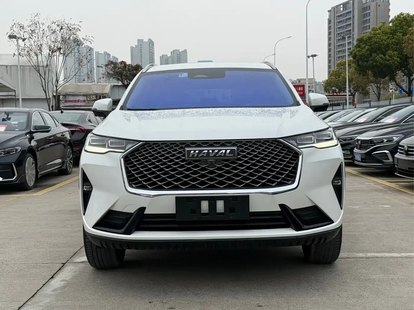 Haval H6 2022 3rd Gen 1.5T Auto 2WD Max фото 2