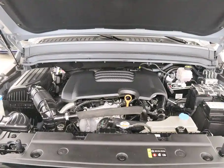 Tank 300 2021 Off-road Edition 2.0T Challenger фото 24