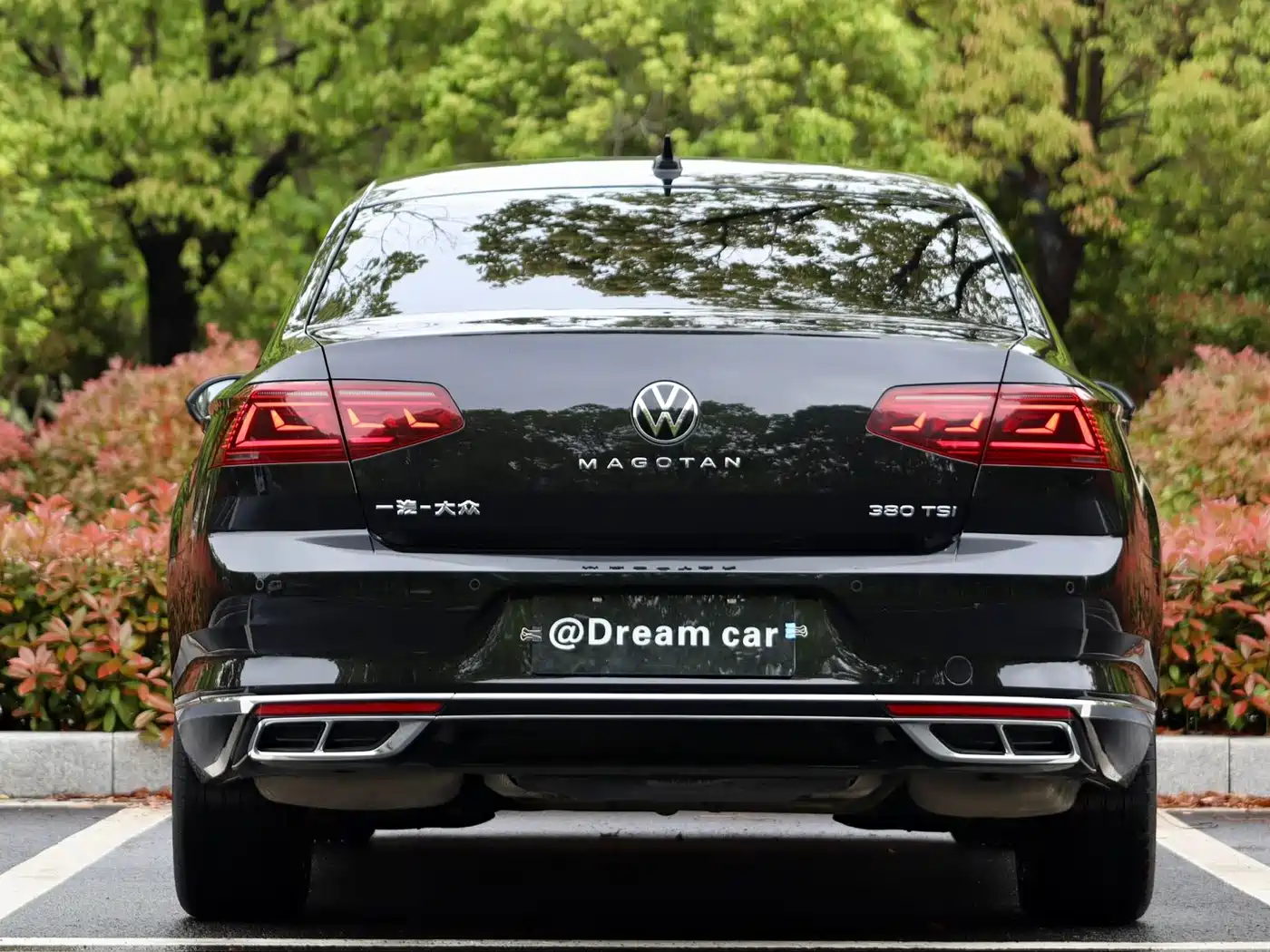 Volkswagen Magotan 2024 2 Million Units Public Sharing Edition 330TSI DSG Luxury фото 5