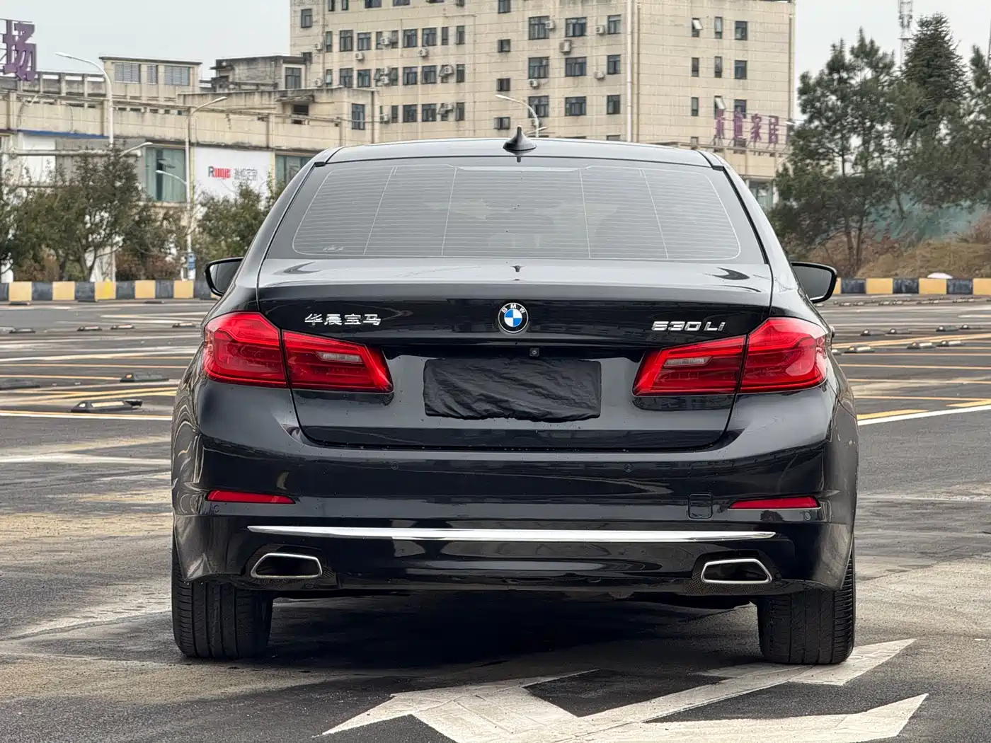 BMW 5 Series 2020 530Li Leading Luxury Package фото 6