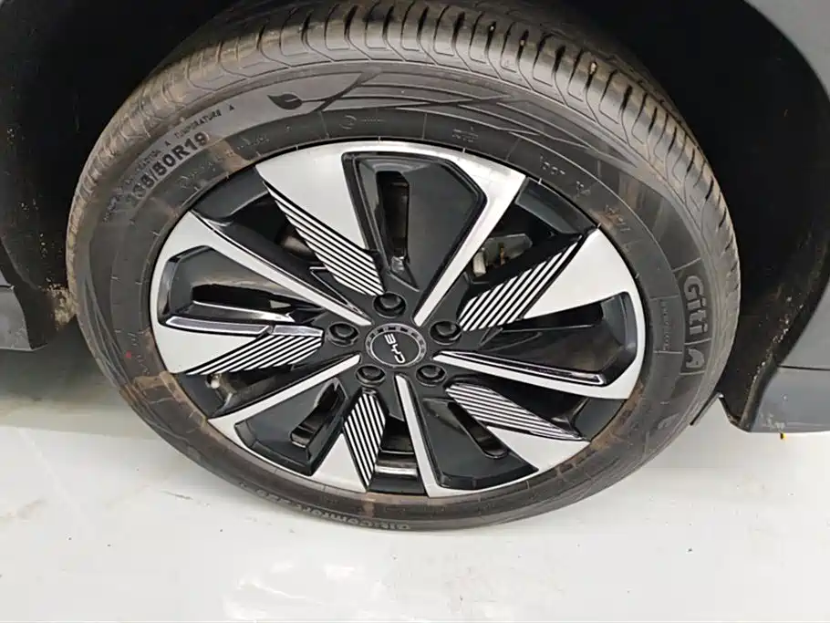BYD Song PLUS PHEV 2025 EV Smart Driving Edition 520km Premium фото 6