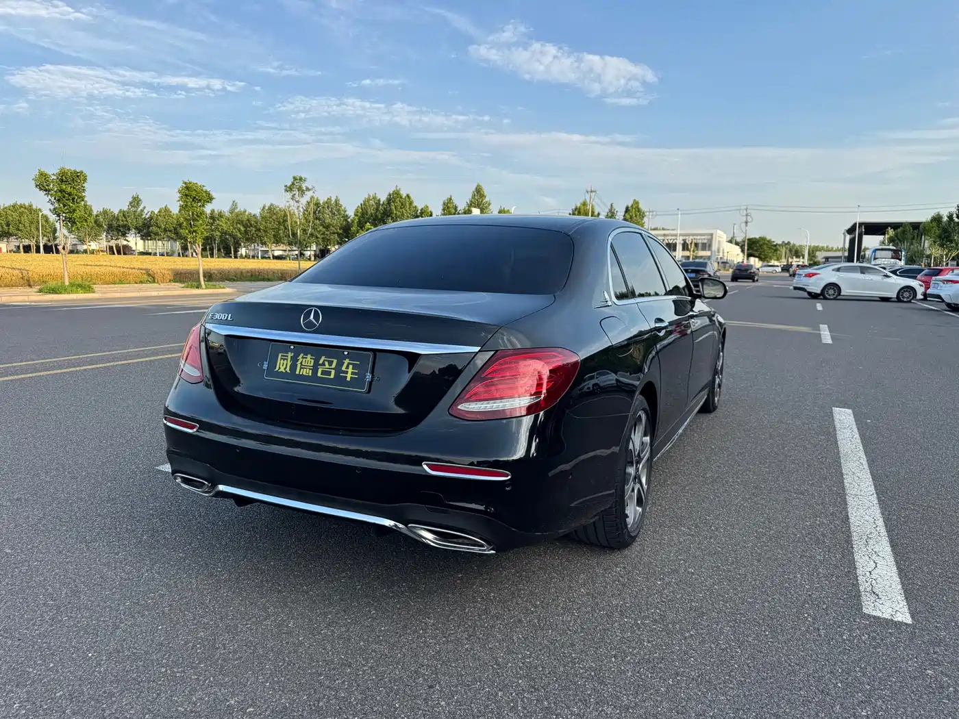 Mercedes-Benz E-Class 2016 E 300 L Fashion Type фото 7