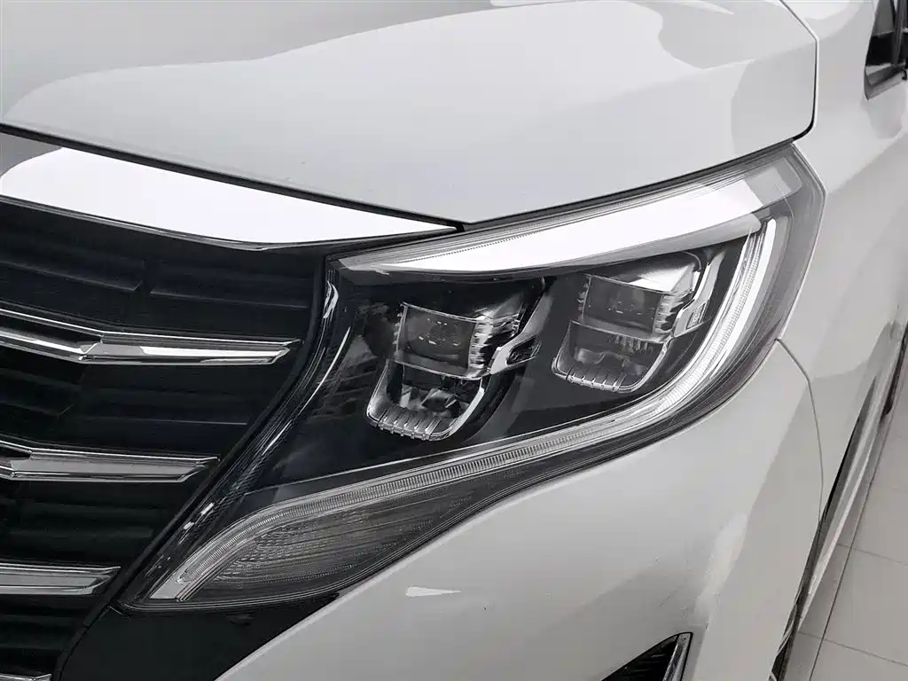 GAC Trumpchi Trumpchi M8 2021 Leading Show Series 390T Ultimate Edition фото 7