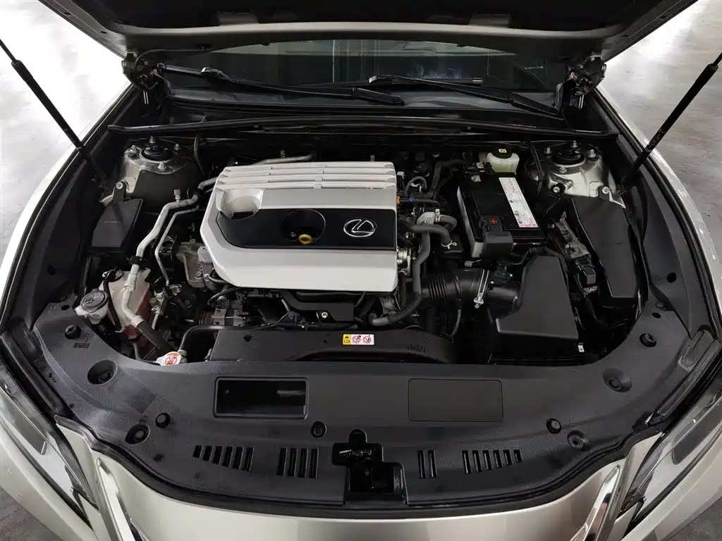 Lexus ES 2020 200 Luxury фото 6