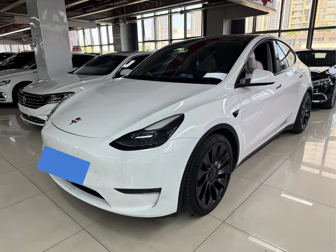Tesla Model Y 2024 Performance