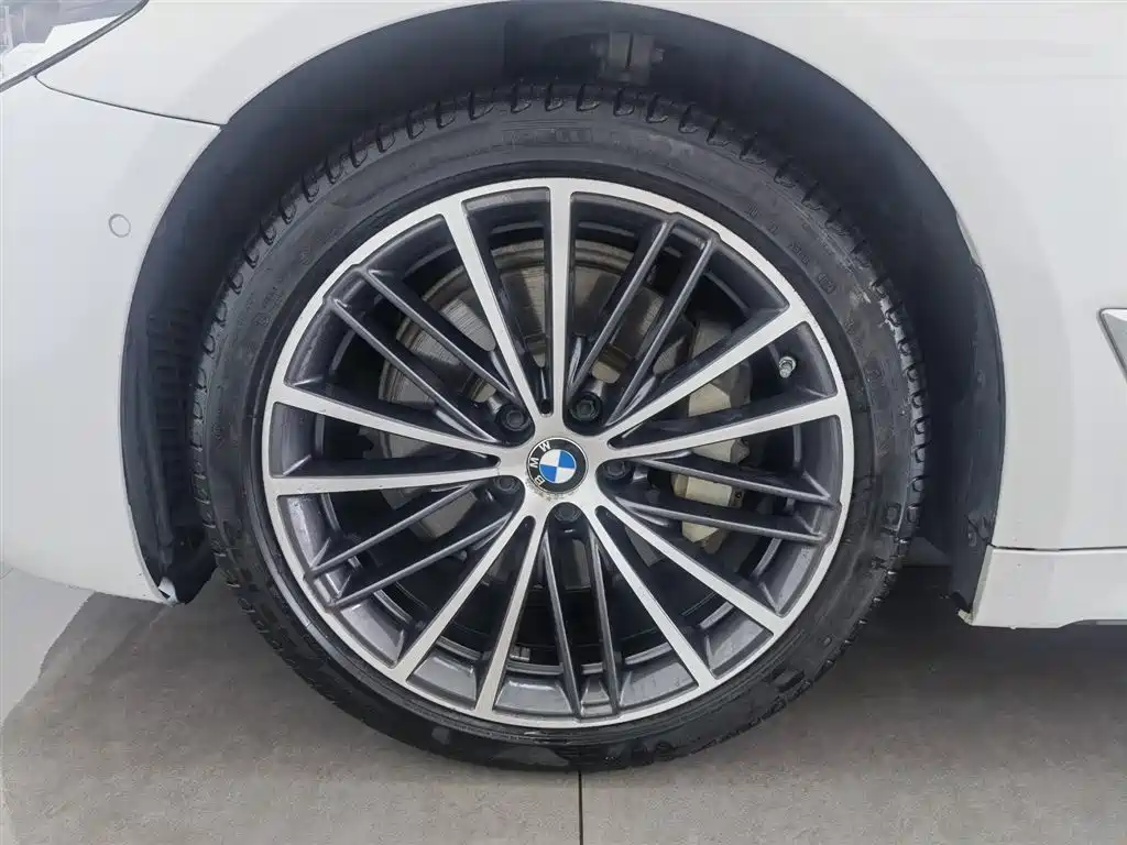 BMW 5 Series 2020 530Li Leading M Sport Package фото 17