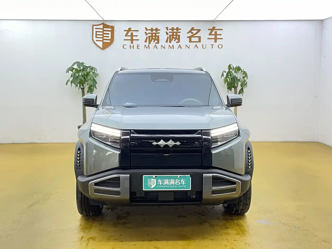 Фото 2 - Fang Cheng Bao Titanium 3