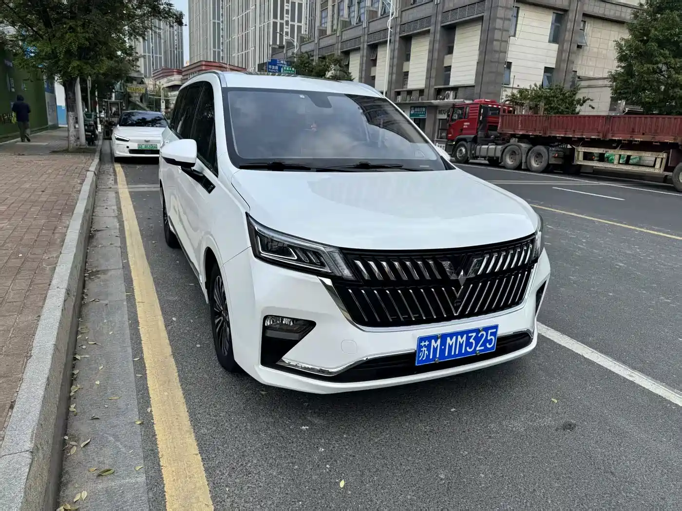 Wuling Motors Wuling Jiachen 2023 2022 1.5T CVT Exclusive Flagship Model