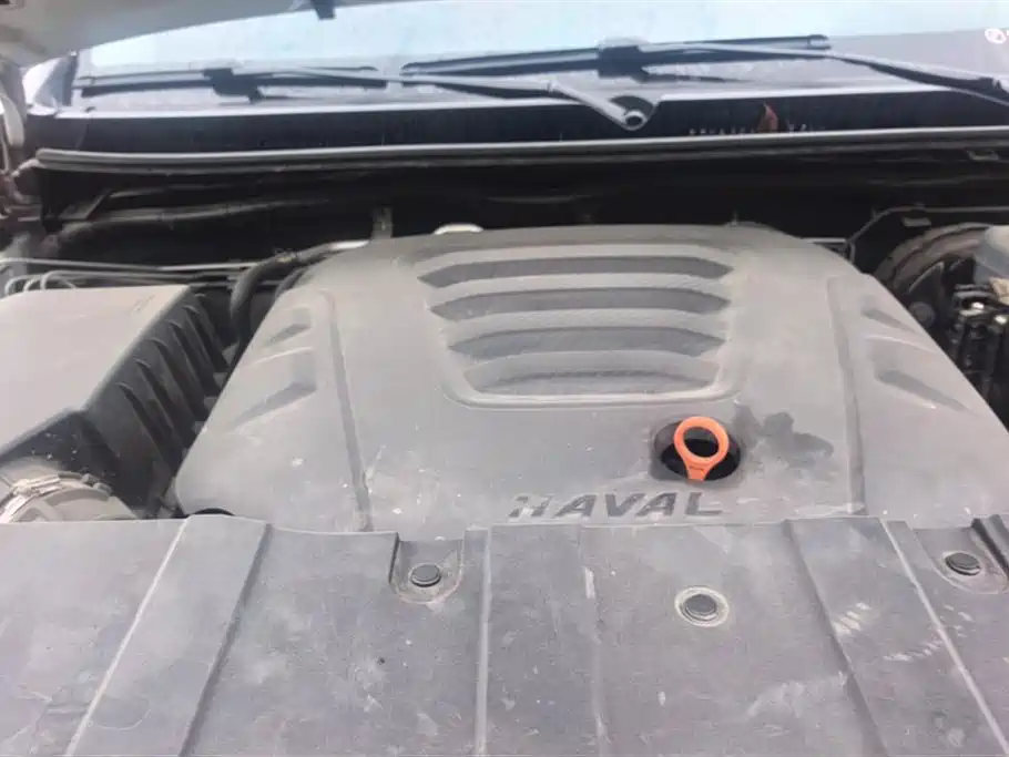Haval H9 2020 2.0T Gasoline 4WD Premium 5-Seater фото 10