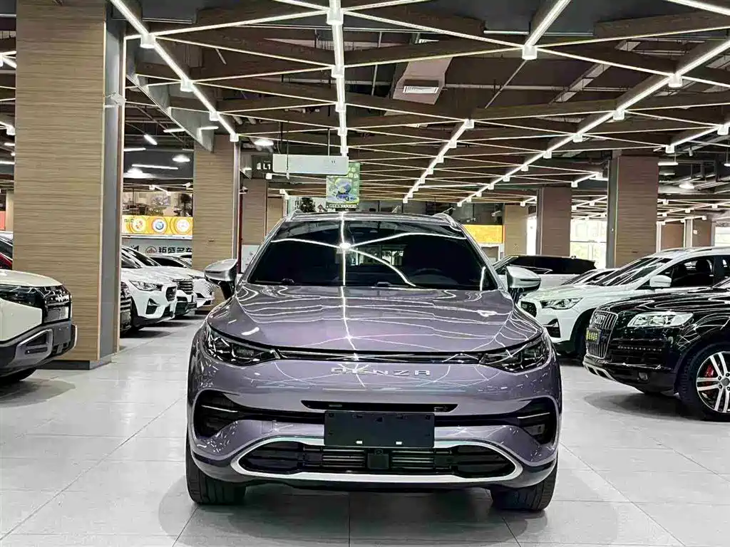 Denza X 2020 Model PHEV Flagship Edition фото 3