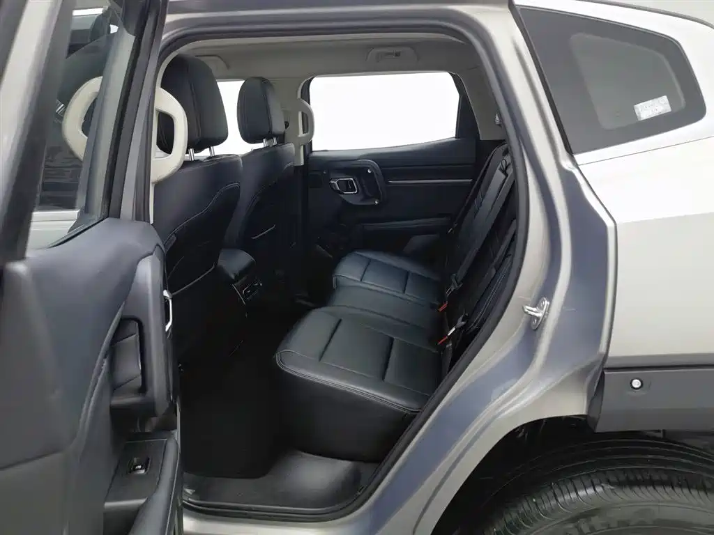 HAVAL BIG DOG PLUS