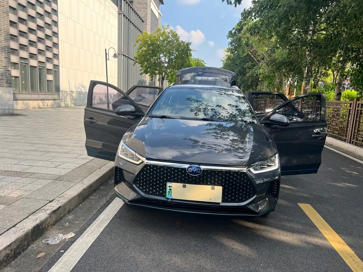 BYD e2 2021 2020 Upgraded Long Range Luxury