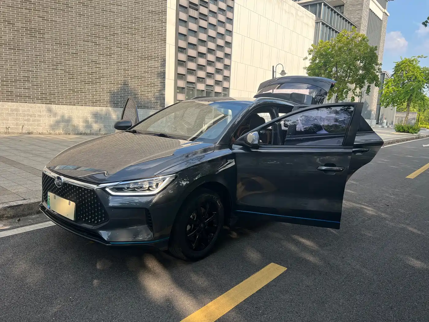 BYD e2 2021 2020 Upgraded Long Range Luxury
