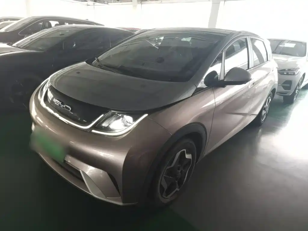 BYD Dolphin 2021 2021 Model 405km Fashion Edition