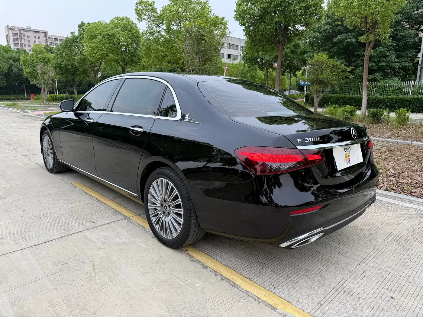 Mercedes-Benz E-Class 2023 E 300 L Luxury фото 15