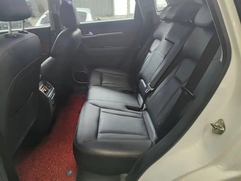 Haval H6 Coupe 2019 1.5T Auto 2WD Elite Edition China VI фото 13