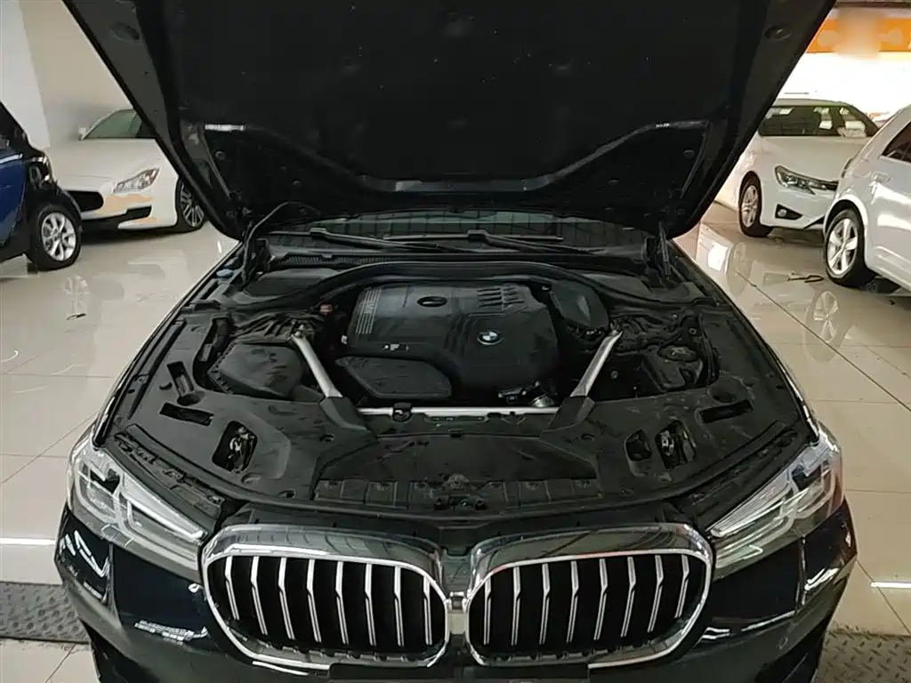 BMW 5 Series 2021 Facelift 525Li M Sport Package фото 20