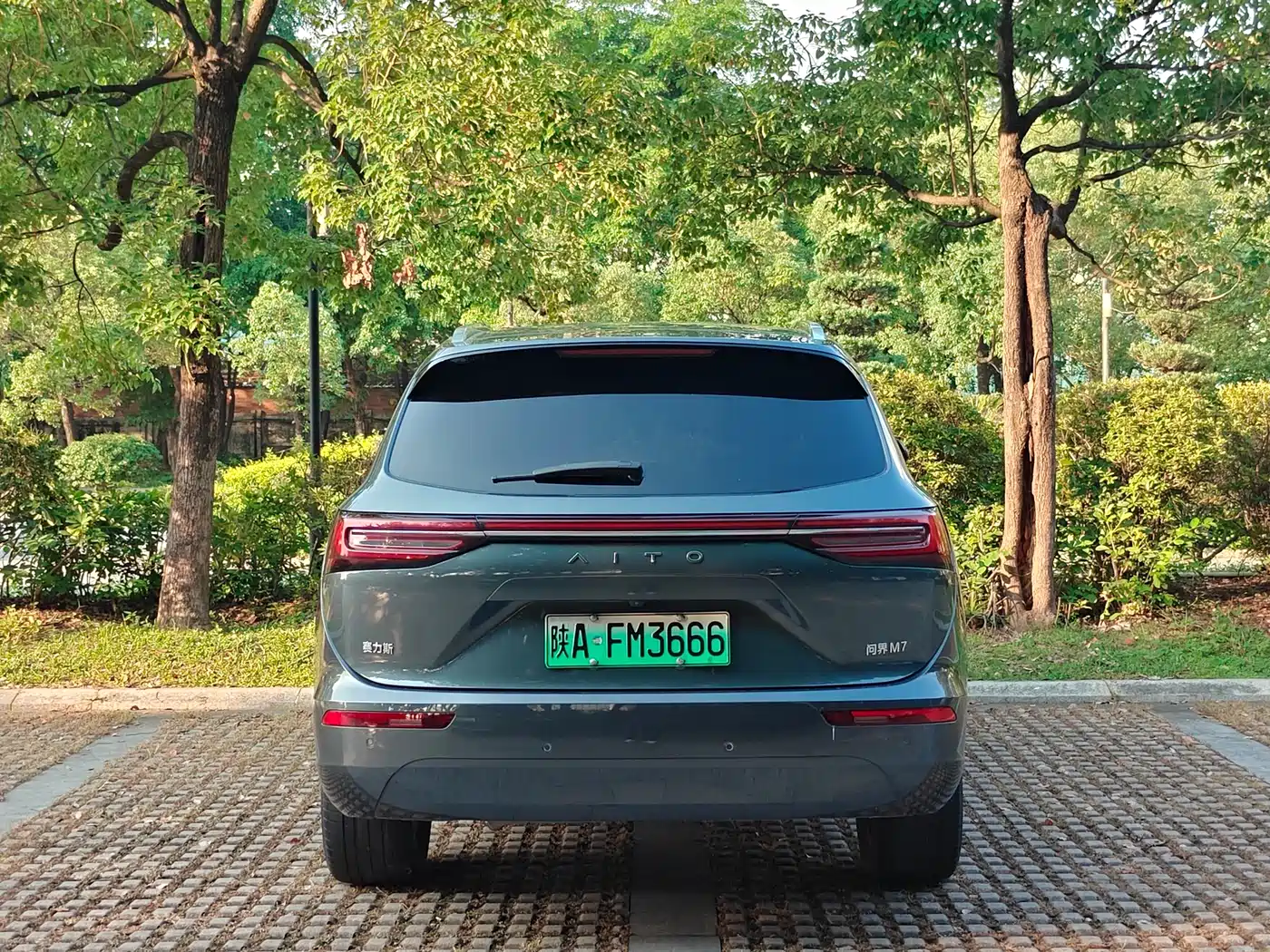 AITO Wenjie AITO M7 2022 1.5T AWD Luxury Edition фото 5