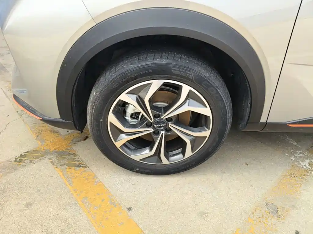 Haval Shenshou 2023 2022 1.5T Smart Enjoyment Edition