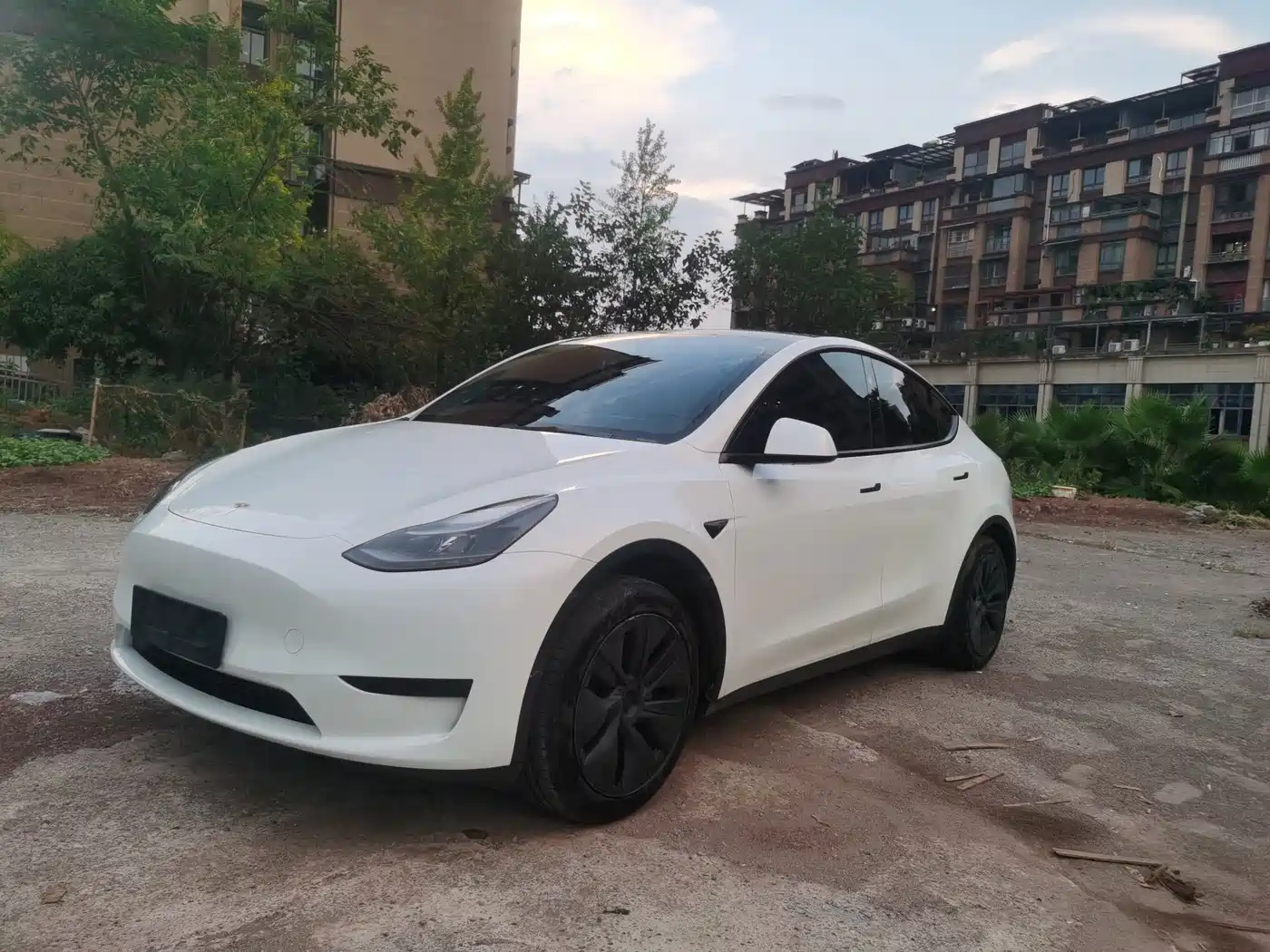Фото 1 - Tesla Model Y