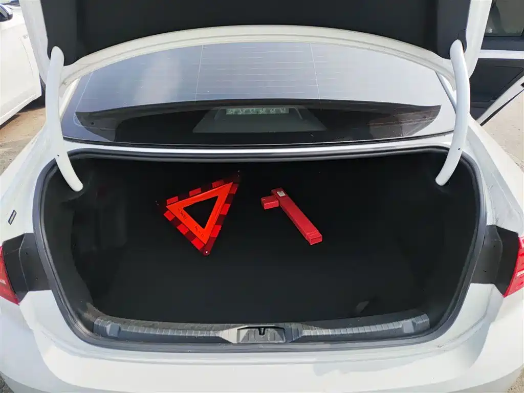 VOLKSWAGEN LINGDU