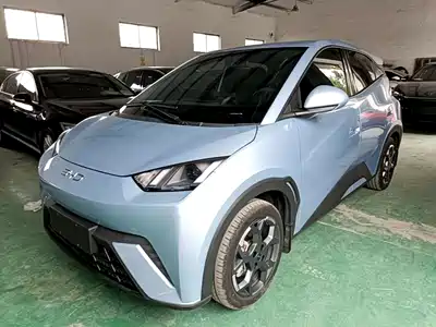 BYD Seagull