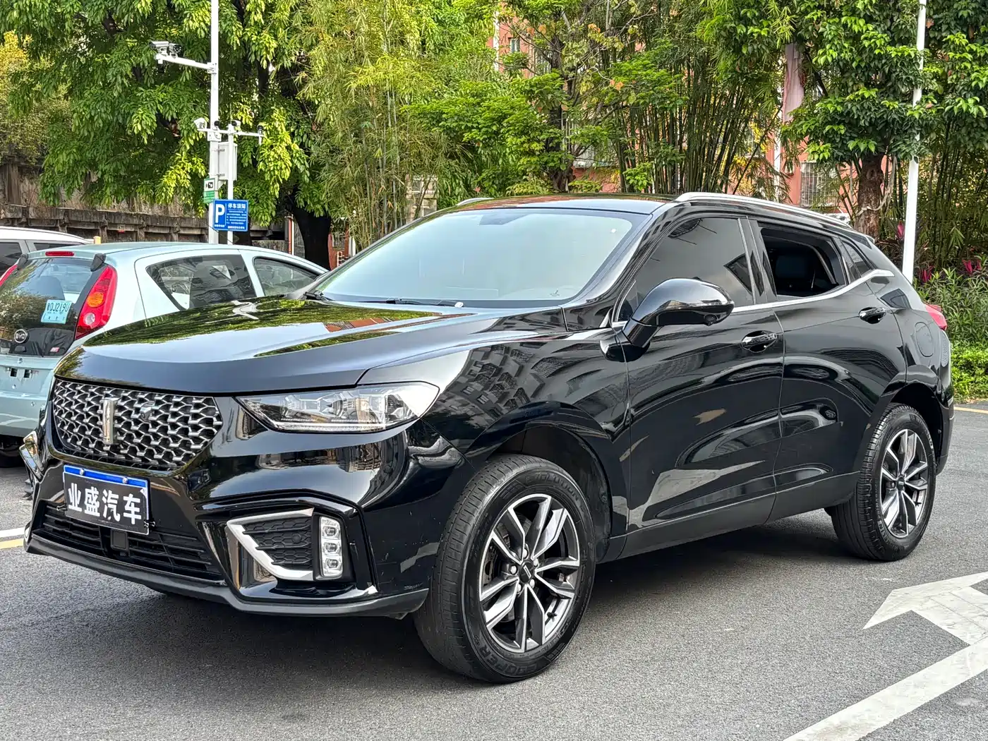 WEI PAI WEI BRAND VV5