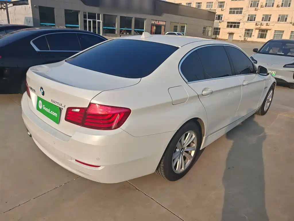 BMW 5 Series 2014 520Li Elegance фото 7
