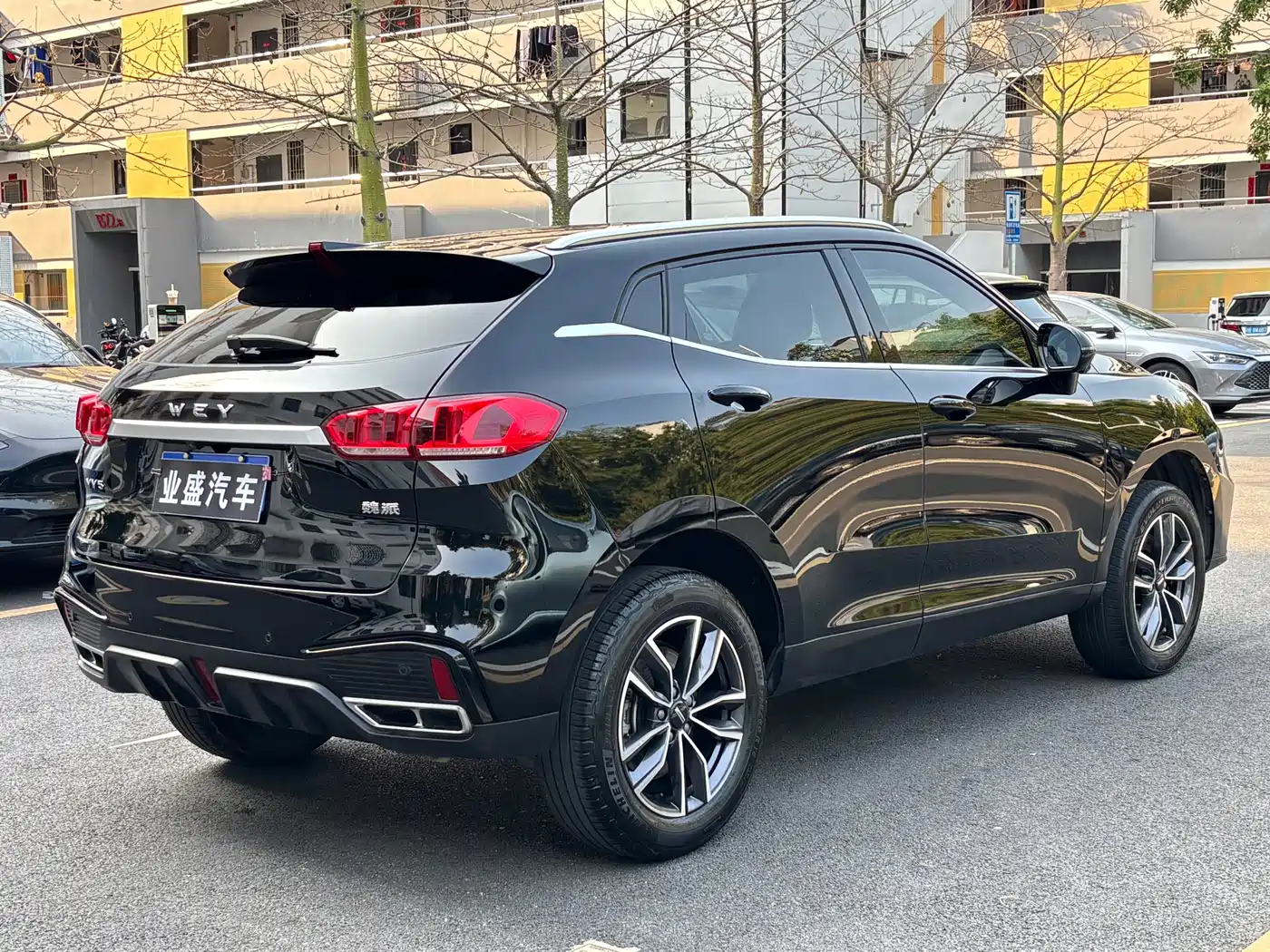 WEI PAI WEI BRAND VV5