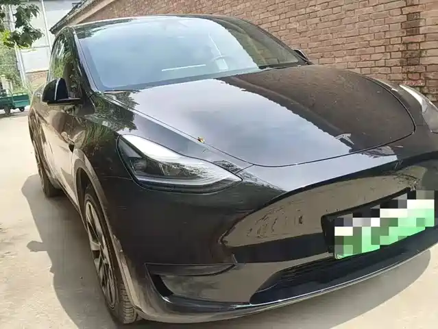 Tesla Model Y Задний привод